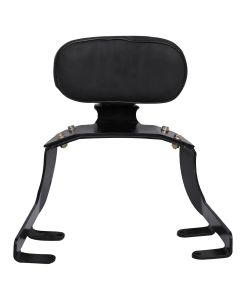 AllExtreme Euro J15 Backrest for Bike Back Comfortable Cushion Support Pillion Heavy Duty Black Bar Compatible With Jawa (Black)