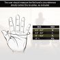 Allextreme Full Finger Bike Riding Gloves with Screen Touch Strong Knuckle Protective Shells Anti-Skid Surface Breathable Mesh Material Glove for Motorcycle Cycling Mountaineering (Black & Green, M)