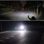 AllExtreme EXFSUL1 Motorcycle LED Headlight Super Bright CREE Chip Off Road Driving Fog Lamp for Night Driving (20W, White Light, 1 PC)