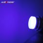 Allextreme EXBA9SB4 BA9S LED Parking Light Super Bright Ceramic Car Interior License Plate Wedge Dome Trunk Dashboard Bulb for Car Bike and Motorcycle (3W, Blue, 2 PCS)