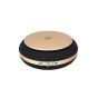 AllExtreme AE-X02 Portable Mini Travel USB Car Air Purifier Negative Ions Ionizer Air-Freshener with HEPA Filter to Remove Odor Smell Bacteria and Allergen (4.2W)