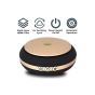AllExtreme AE-X02 Portable Mini Travel USB Car Air Purifier Negative Ions Ionizer Air-Freshener with HEPA Filter to Remove Odor Smell Bacteria and Allergen (4.2W)