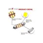 AllExtreme EXTSD1W 12 LED Universal Car Interior Super Bright Roof Light Reading Dome Bulb Lamp with Festoon Holder (6W, White, 1 Pc)