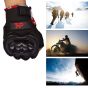 Allextreme EXO2FG10 Probiker Motorcycle Half Finger Riding Gloves for Bike Racing & Sports Hand Glove for Men and Women (XL, Red)