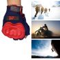 Allextreme EXO2FG12 Probiker Motorcycle Half Finger Riding Gloves for Bike Racing & Sports Hand Glove for Men and Women (XL, Orange)