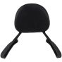 AllExtreme EXRBS01 Heavy Duty Bike Backrest Fit Passenger Rear Seat Back Support Rest Adjustable Compatible with Royal Enfield Reborn (Black)