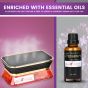 AllExtreme Treasure Car Perfume Diffuser with Essential Oil Dashboard Vent Liquid Clip Freshener Starter Kit- Violet, Pack of 1