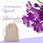 Allextreme Hanging Wood Jute Bag Car Perfume Scent - Lyrical Lavender Fragrance for 30 Days Diffuser Interior Car-Accessories Air Freshener with Essential Oil Aroma (Set of 1, 40g)