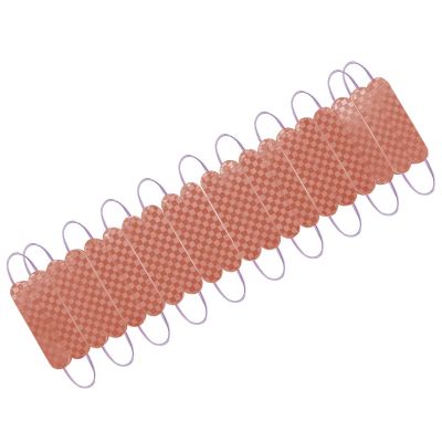 Allextreme EXMIR9B 9 LED Module Light Interior Exterior 12V 5730 Injection Decorative Lamp with Adhesive Backside for Car, Home & Decoration (20 Strips, Brown)