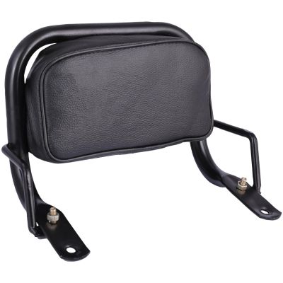 Allextreme EURO Detachable Passenger Backrest Rear Pad Adjustable Sissy Bar Cushion Corrosion Resistant Cushion Pad Seat Compatible with Ola - Black