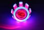 Allextreme Original Projector Lamp High Intensity Led headlight Lens projector (High beam, Low Beam,Flasher function) For - All Bikes (Blue Red Blue)