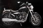 AllExtreme EX067 Black Tail Cobra Model Silencer with Glasswool Compatible for BS3 and BS4 Model Royal Enfield Bullet 350cc and 500cc (Chrome)